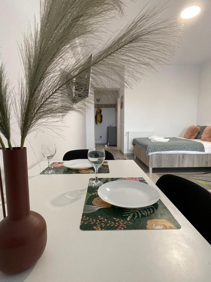 Studio Apartment Palas Mall Iasi Exterior photo